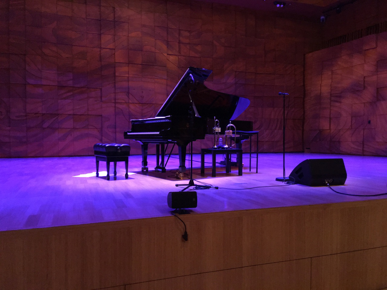 A large concert hall bathed in soft purple lights, a grand piano and a couple of small brass horns sit in the middle of the stage